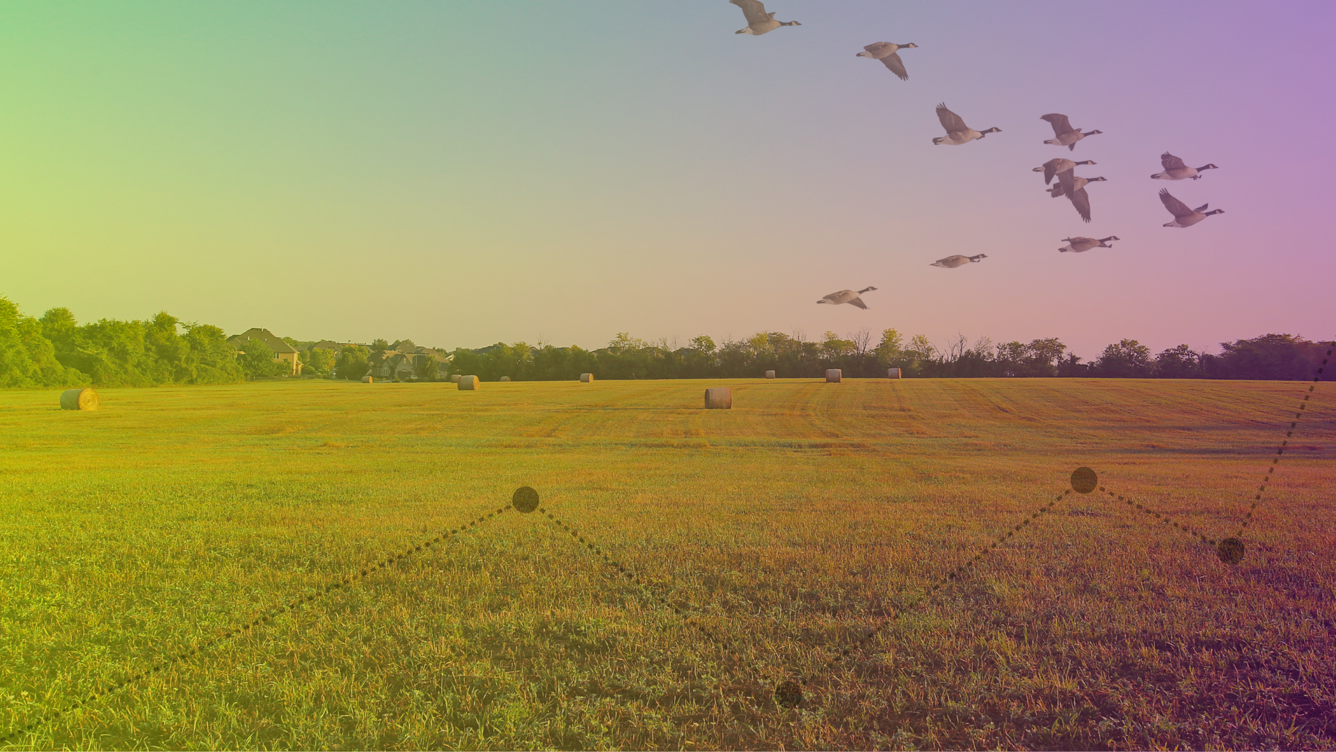 Source: Canva